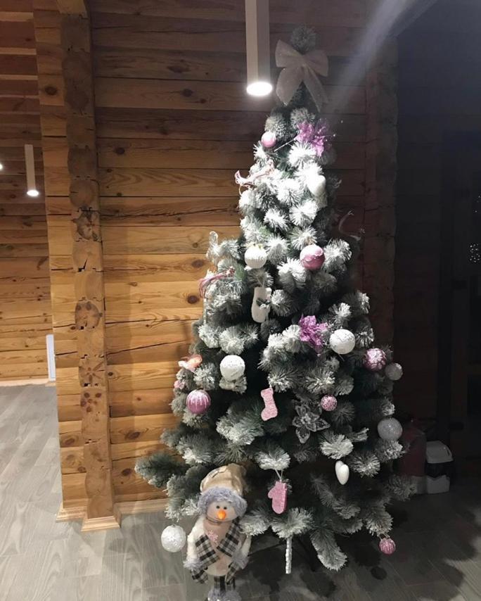 Golden Nest Appartement Yablunytsia Buitenkant foto