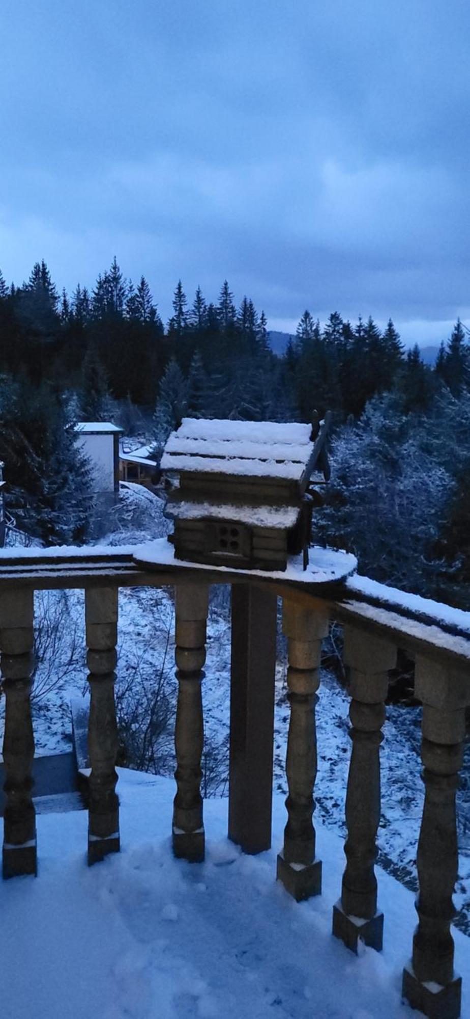 Golden Nest Appartement Yablunytsia Buitenkant foto