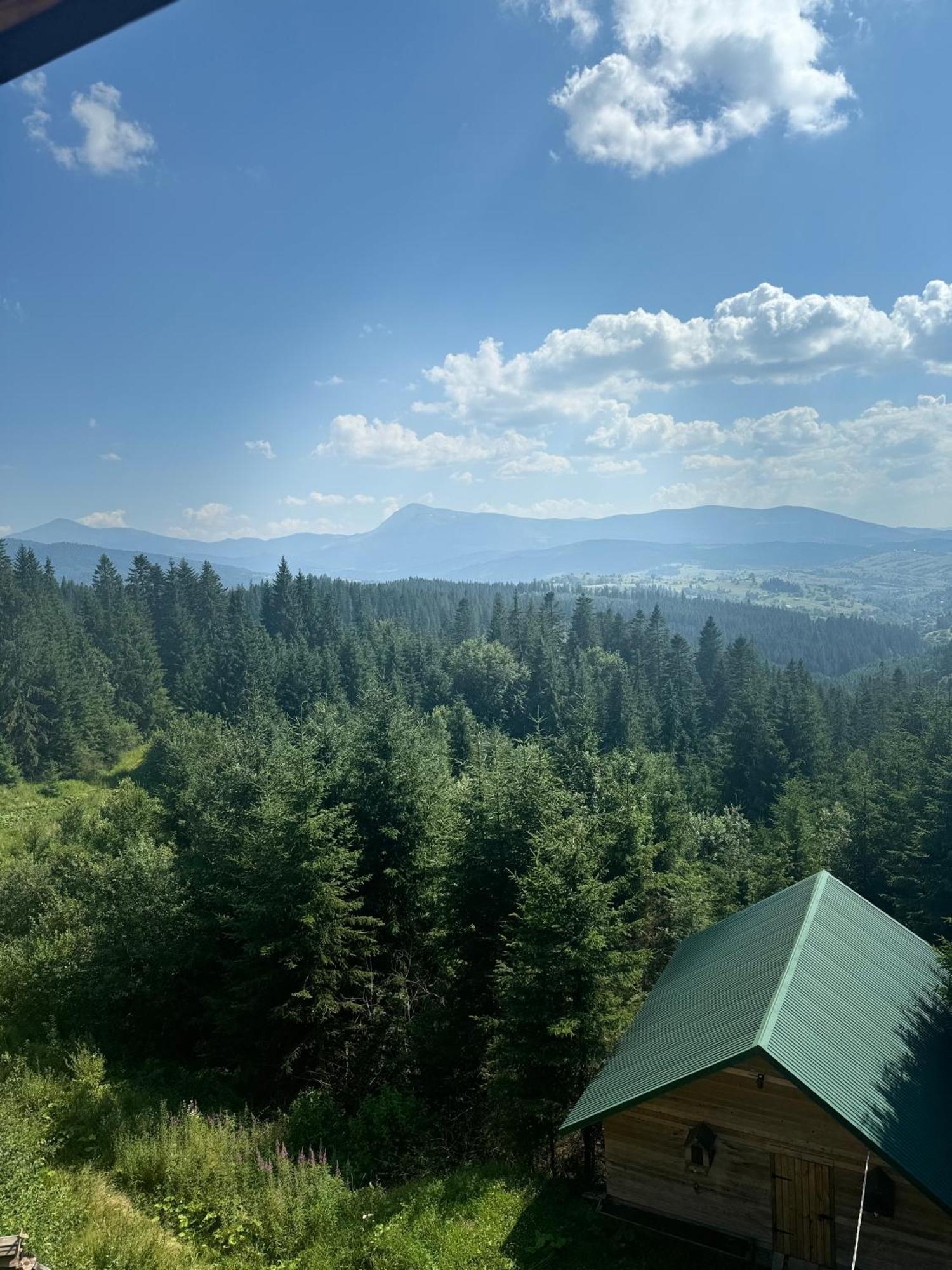 Golden Nest Appartement Yablunytsia Buitenkant foto
