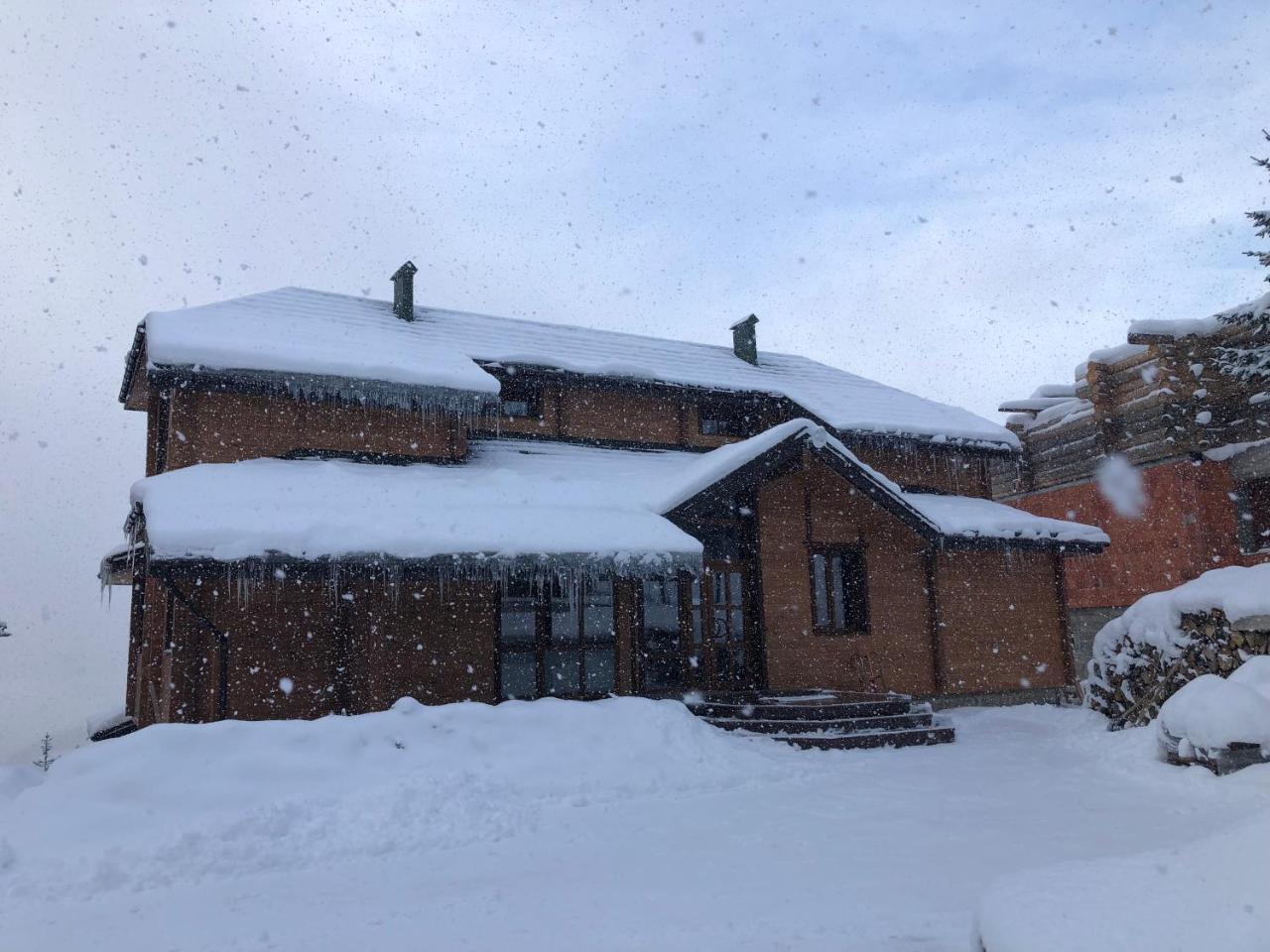 Golden Nest Appartement Yablunytsia Buitenkant foto