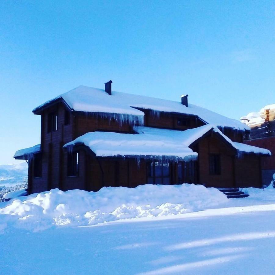 Golden Nest Appartement Yablunytsia Buitenkant foto
